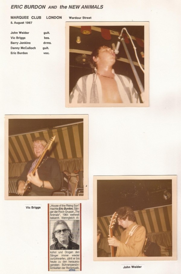 Animals (1) im Marquee 1967
