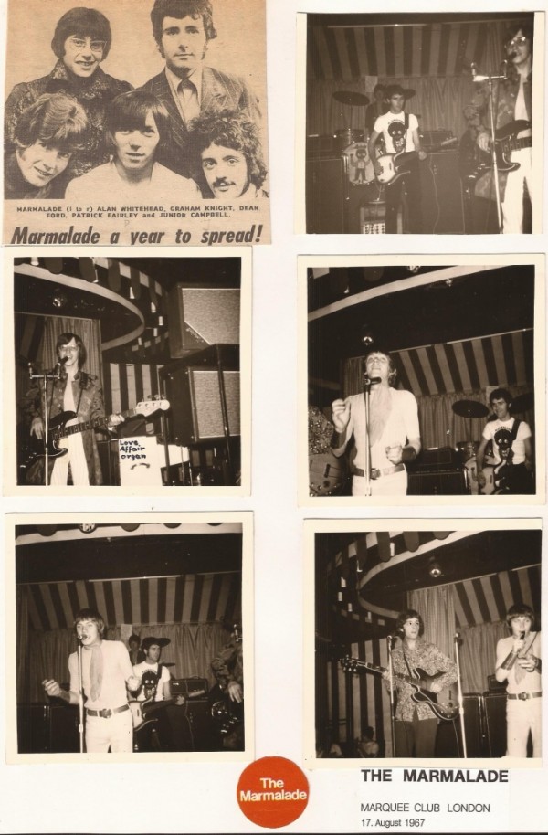 Marmalade (2)